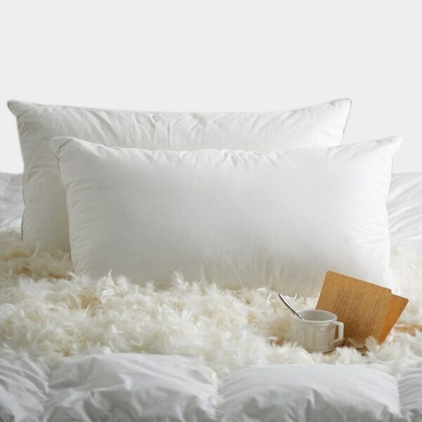 Dois travesseiros brancos sobre uma cama, rodeados de penas e plumas de ganso.